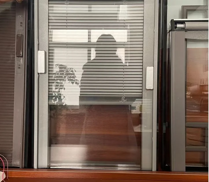 Shutter Glass